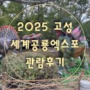 2025경남고성공룡세계엑스포 | [아이랑 고성]2025 경남고성공룡세계엑스포 유아 관람후기및 꿀팁