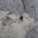 좋은환경 이미지