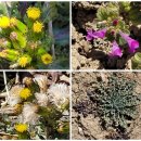 산진농장 이미지