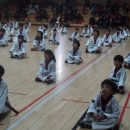 푸른하늘태권도장 이미지