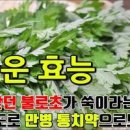 쑥의 효능 부작용 봄을 알리는 쑥 효능 이미지