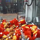 동백게임랜드 이미지