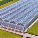 ㈜서진개발 이미지