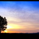 여명목장 이미지