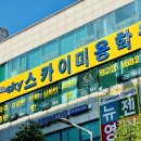 스카이애견 이미지