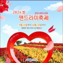 [섬테마 2024 년 10월 12일 (토요일) 병풍도신안 섬티아고 12사도순례길 매드라미꽃축제 트래킹 이미지