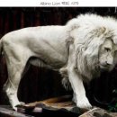 소망행정사 이미지