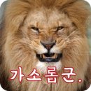 영동복싱다이어트 이미지