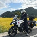 평화3길 | 경남 고성 카페 자란들, 블루리본 받은 평화로운 시골 브런치카페