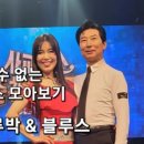 실버사교댄스 Daum카페