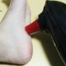애니팡팡 이미지