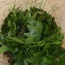 오미농장 이미지