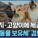 "개·고양이 키우면 세금 내라"…'반려동물 보유세' 검토 이미지