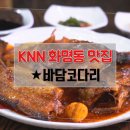 바담코다리 이미지