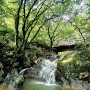 강당골마을 | 서울 근교 힐링 계곡, 천안아산 강당골에서 보내는 여름날🍃 물놀이 명소와 주차 맛집 추천