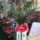 한지영한의원 이미지