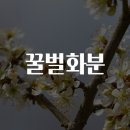 화분인간 이미지