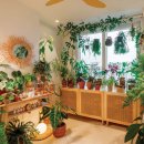 Green house