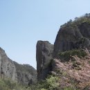 나라의 보배 이미지