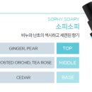 소피&엔젤