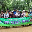 우면산5-13 이미지