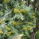 명개리 마을회관 이미지