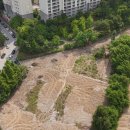 도원고등학교앞 이미지