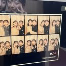 뽀꼬뽀꼬샵(#) | 좋은 가을은 왜 이렇게 빨리 가는지