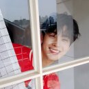 아로하 이미지