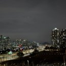 배곧생명공원 | 배곧생명공원 ㅣ 산책하기 좋은 시흥 야경명소 후기