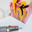 전주예치과의원 이미지