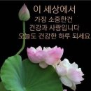 멋진하루 이미지