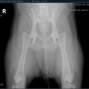 서울종합동물병원방배 이미지