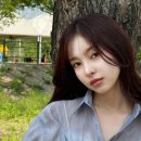 하린 머니투데이