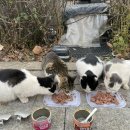 주주동물종합병원 이미지