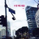 수영 메디세움 이미지