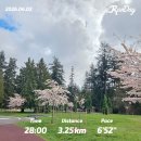 누들쇼크 | [우당탕탕 밴쿠버+130] 4월 첫째 주 일상 - 균형찾기 뚠뚠