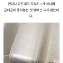 주방후드 본체 청소 비법 이미지