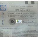 본토발음 실전 영어 프리토킹(정원 8명)(화)11:00 | 주안오픽학원 인천오픽 16년도 버킷리스트 OPIC 한방에 AL 채운 꿀팁