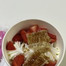 요거트 아이스크림의 정석 이미지