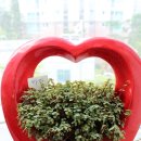 연세허브치과의원 이미지