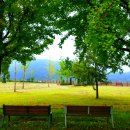 국토종주자전거길1-91 이미지