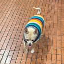 사주카페 | ✨ 전주 사주 잘보는 곳 ‘마이다스 사주카페’ 후기 | 소름돋는 적중률… 인생 고민 살짝 털고옴🤭