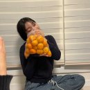 삼일데칼 | 락스도 락이다