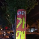 황태도둑가맥 이미지