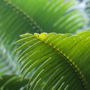 이강부동산공인중개사사무소 이미지