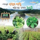 디자인 이애드