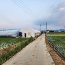 신신농장 이미지