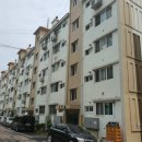 효성프라자약국 이미지