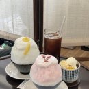 흰다정
